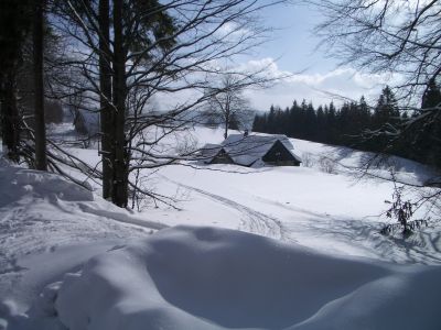 Webové kamery